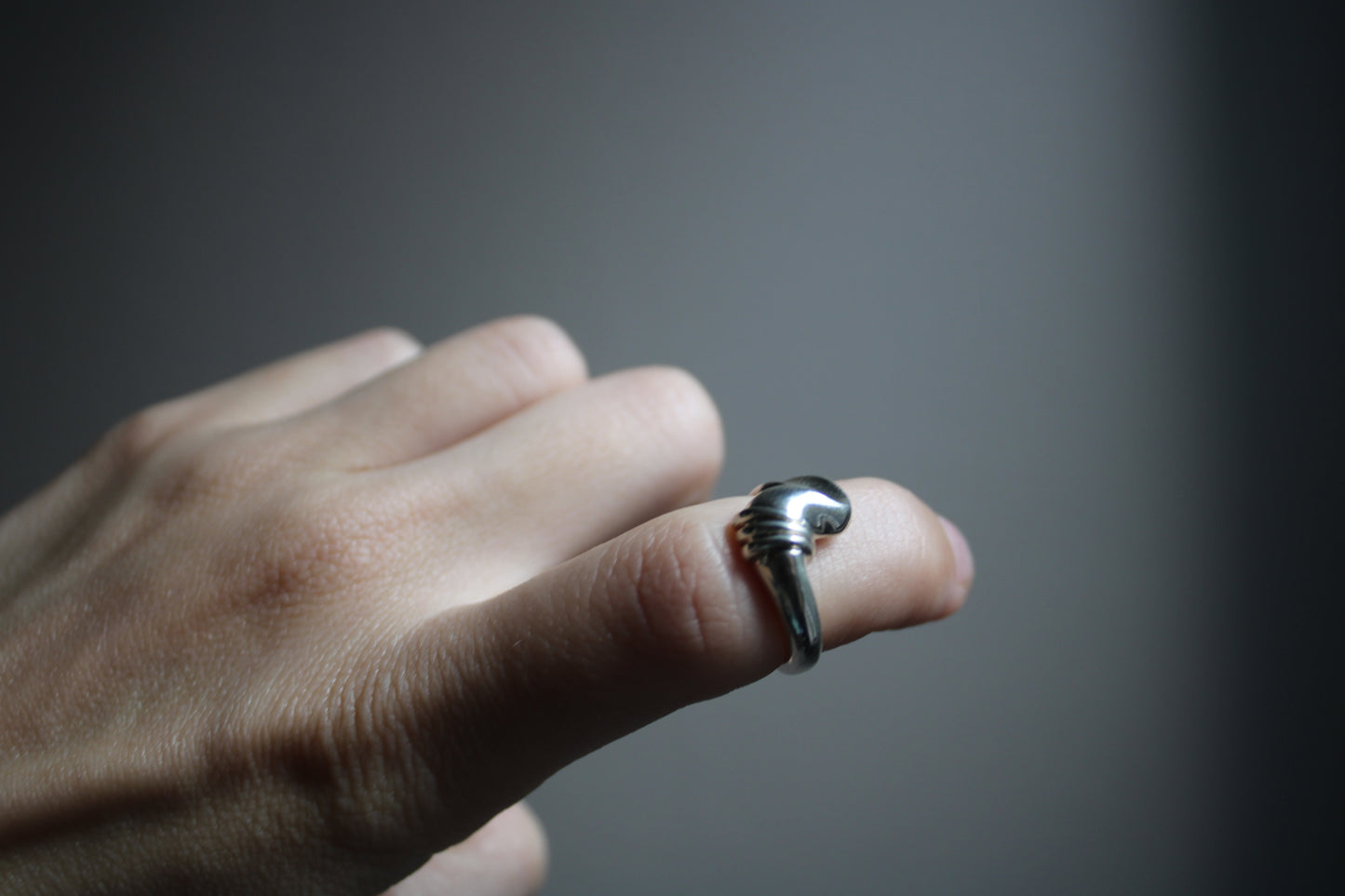 Everyday Solid Sterling Silver Twist Croissant Ring