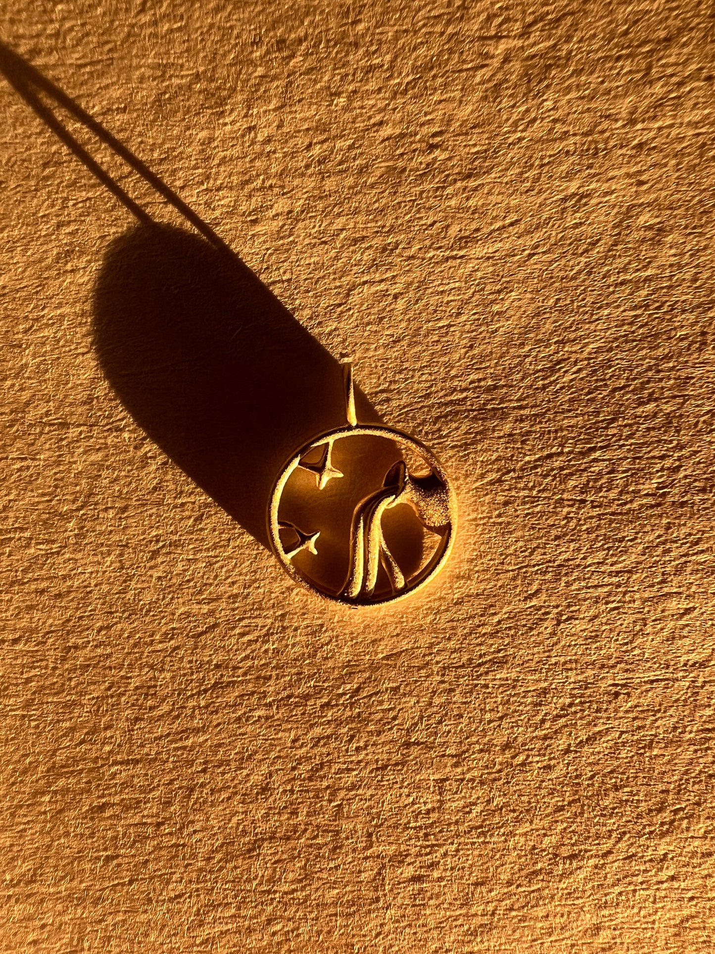 Solid Gold Aquarius Zodiac Charm Pendant (satin finish)